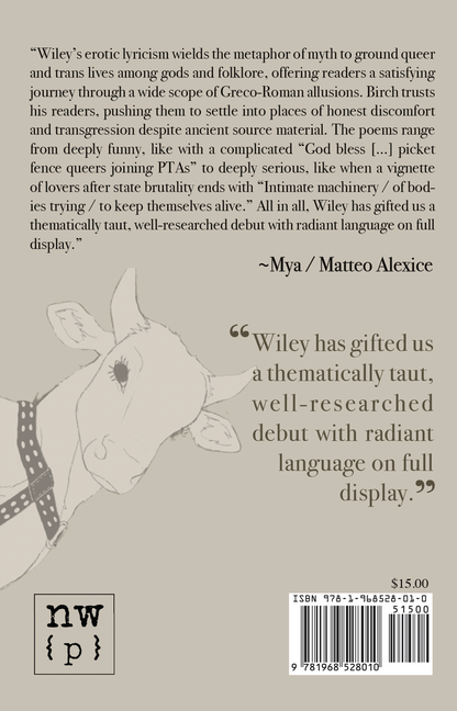 Mythweaver by Birch Wiley