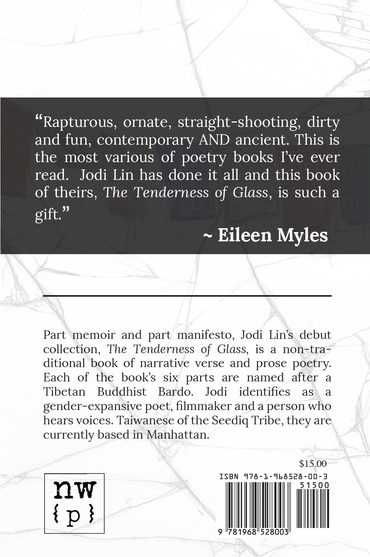 The Tenderness of Glass by Jodi Lin