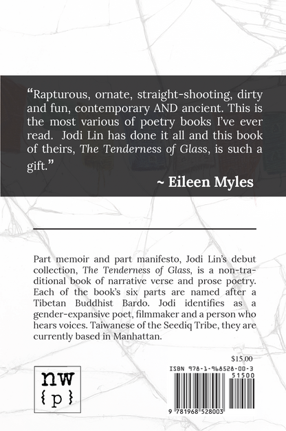 The Tenderness of Glass by Jodi Lin